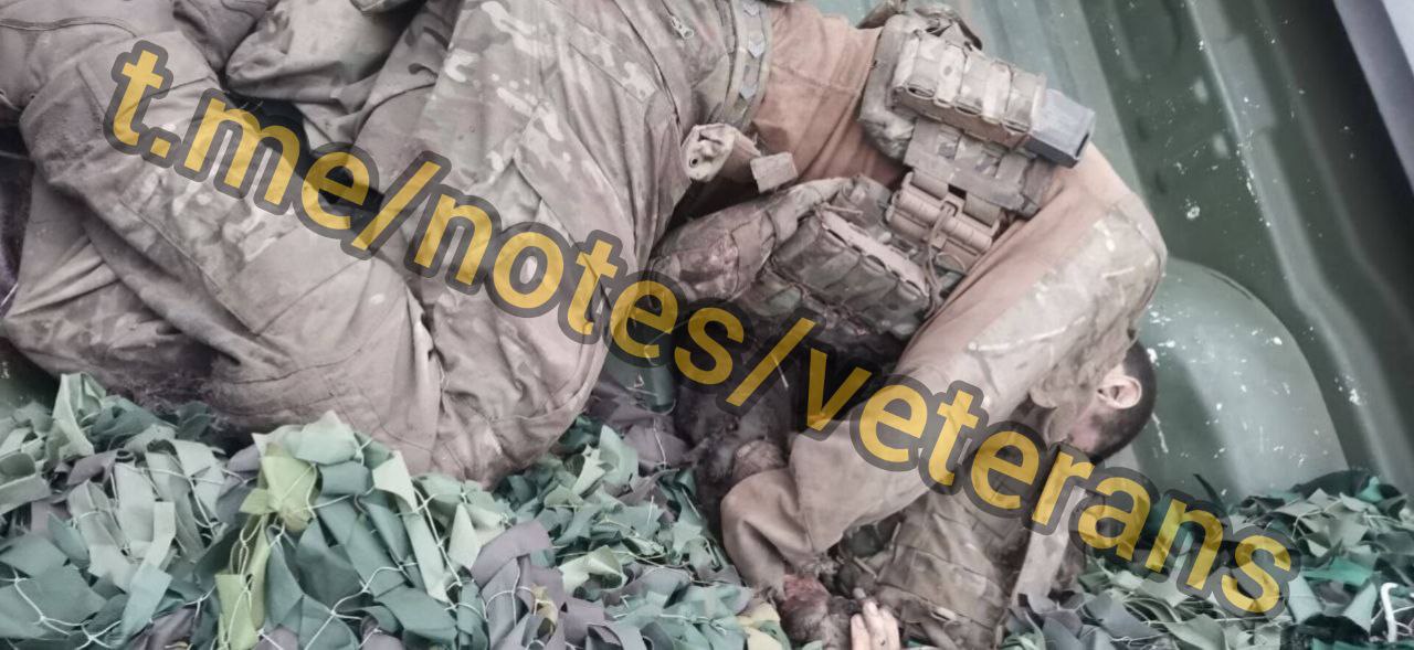 Дрг телеграм. Дрг телеграм