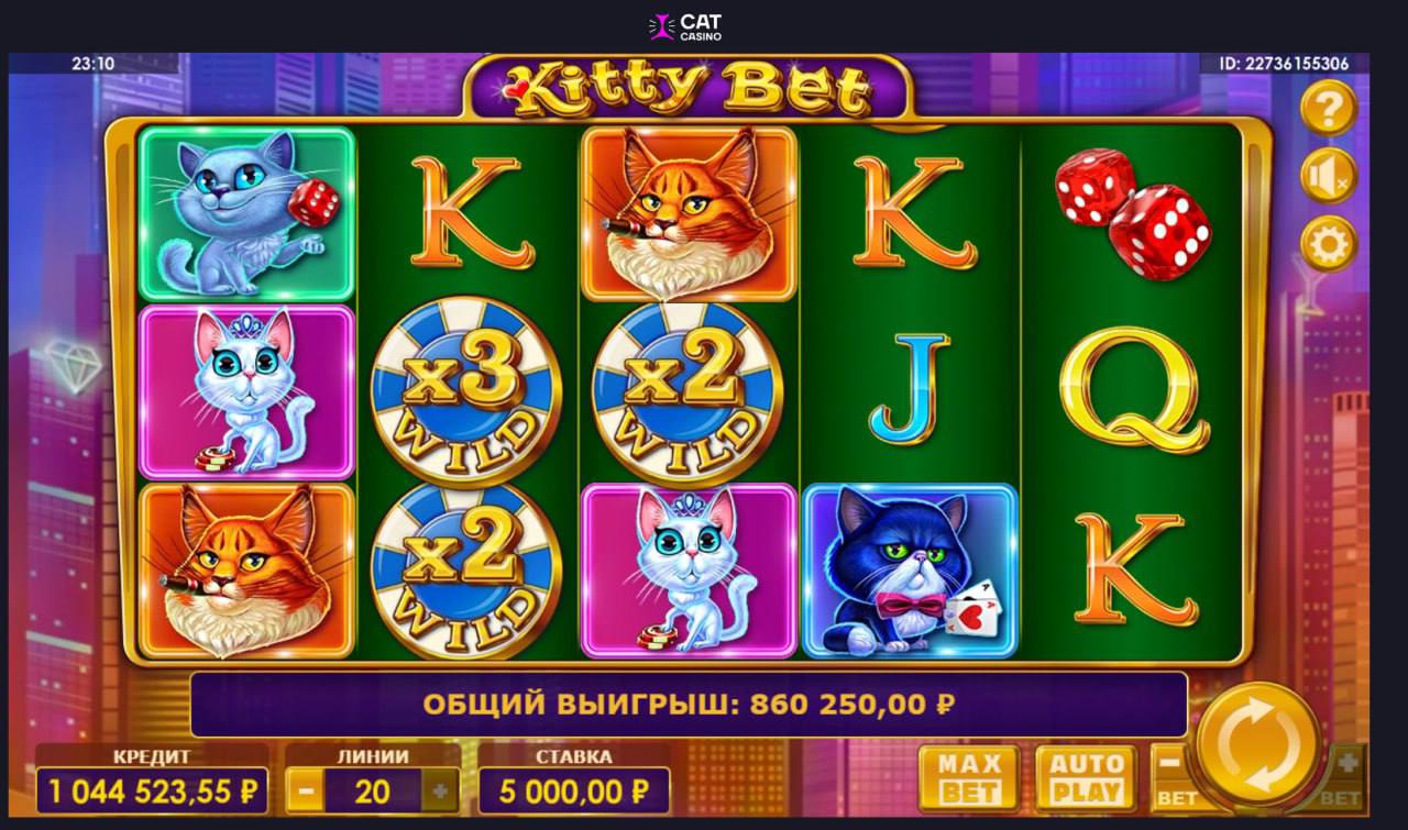 Cat casino cat real money net ru