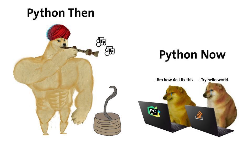 Now python. Мемы про питон. Python приколы. Приколы про программистов питон. Шутка программирование на питоне.