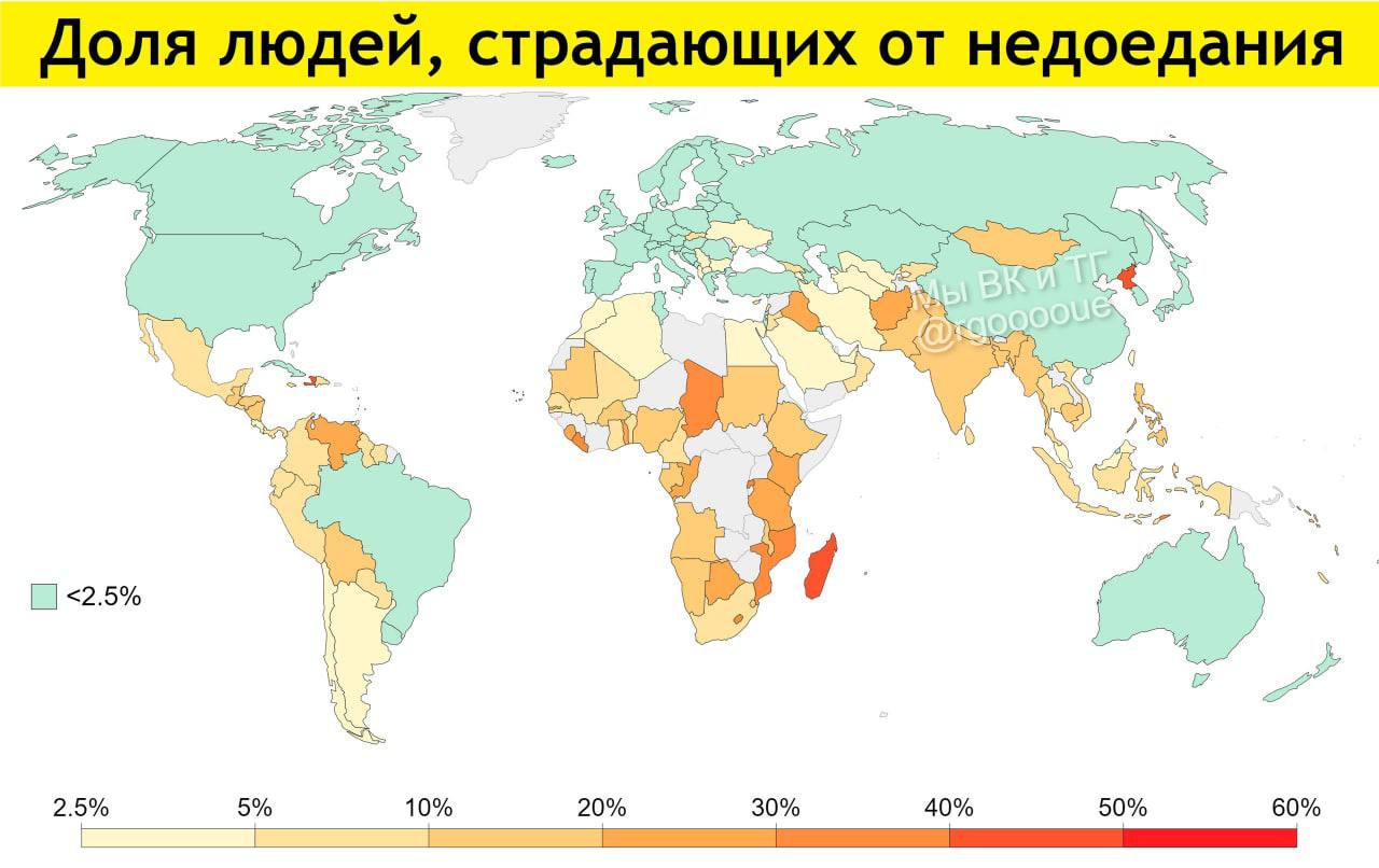 Страны с наивысшей долей голодающих в Африке. Распространение недоедания в мире. Инфографика доли. Страны зарубежной Европы с наибольшей долей голодающего населения. Страны с наивысшей долей голодающих
