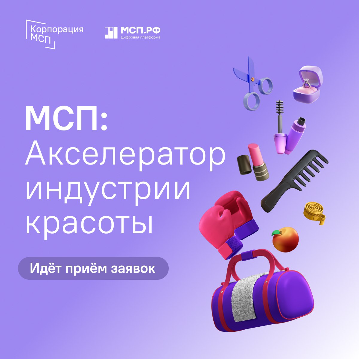 Мсп акселератор социальных проектов