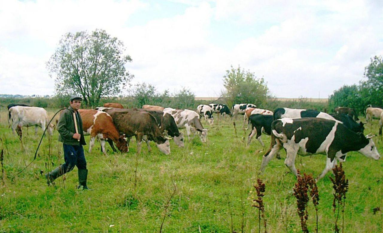Важность ответственного владения