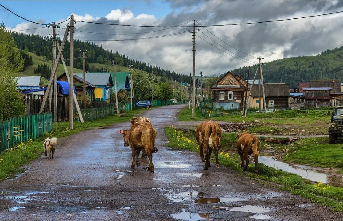 Башкирия Деревня Фото