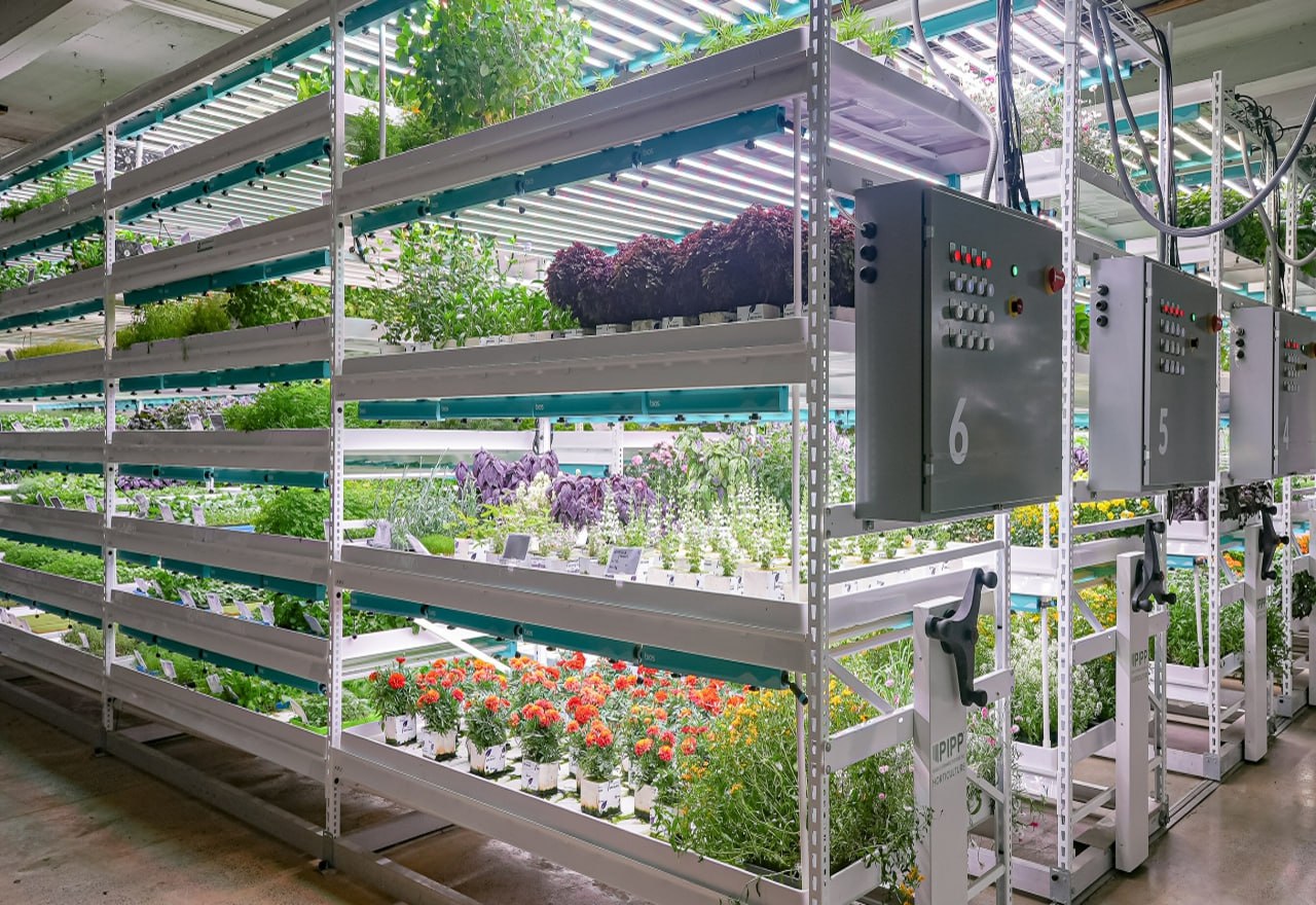 Шкаф для выращивания зелени urban cultivator commercial