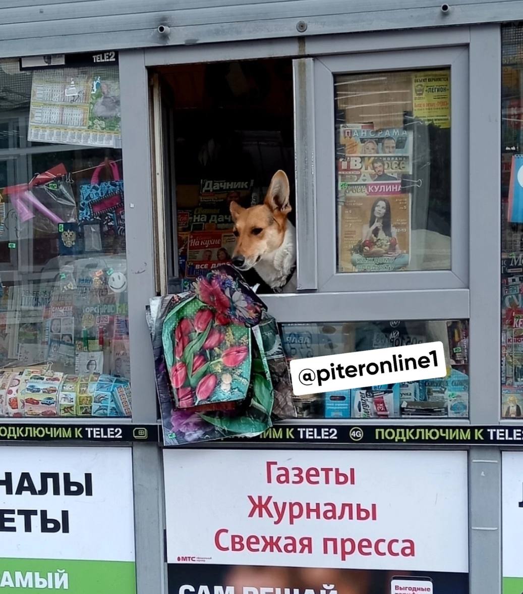 Я не умею считать сегодня все