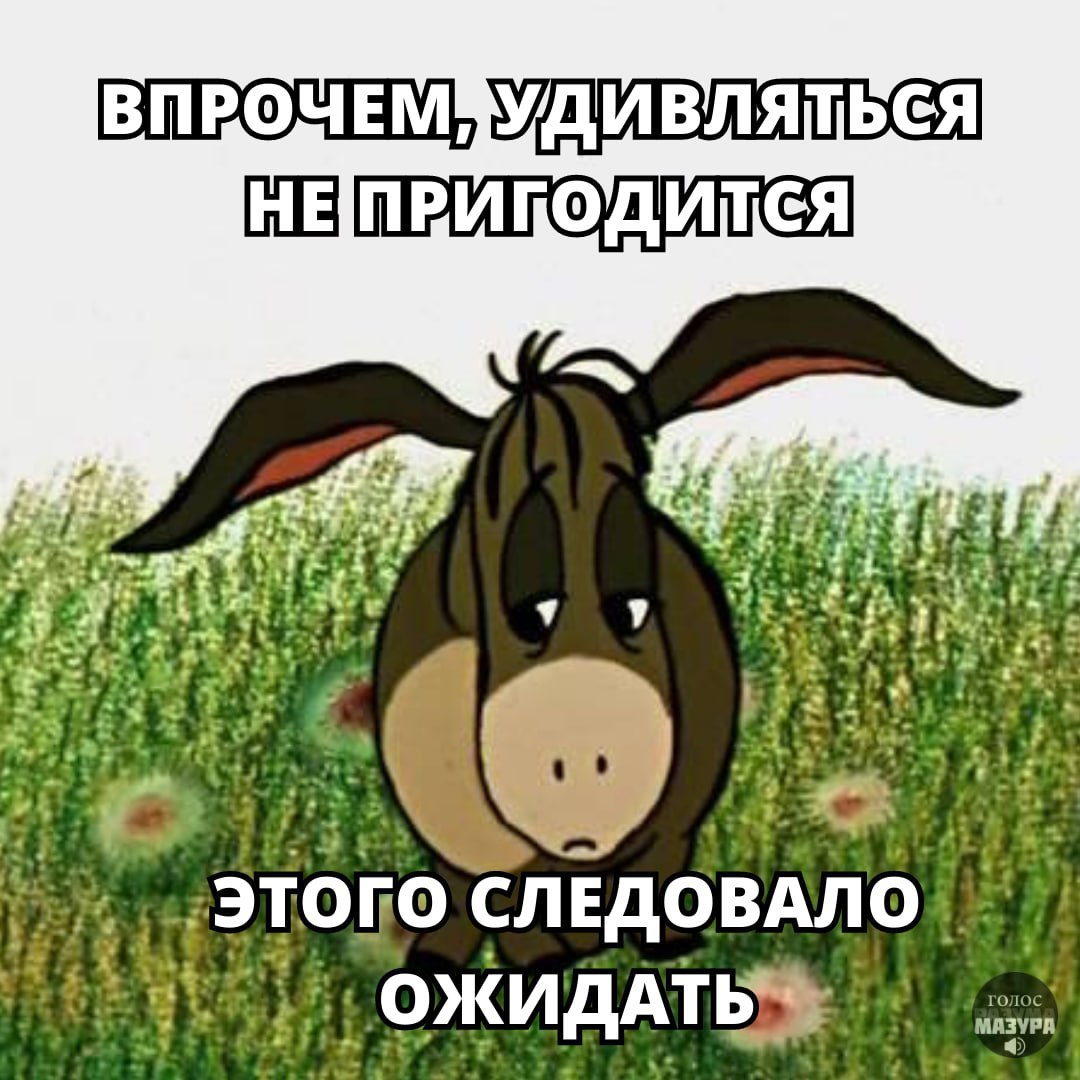 6c27fbec1a5e4b8036c0172215c70710.jpg