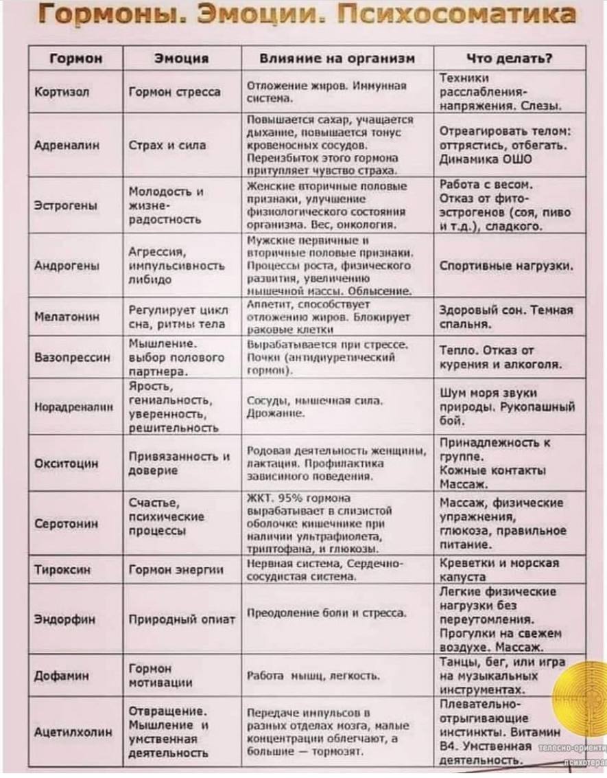 Название гормонов и их функции таблица