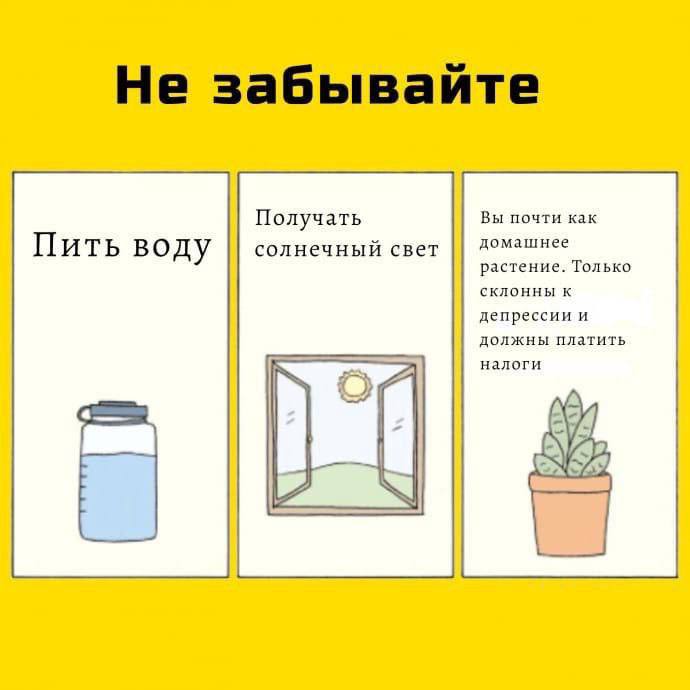 Не забывай пить. Мем про домашние растения. Мемы про комнатные растения. Шарики картинки. Картинки с цветами.