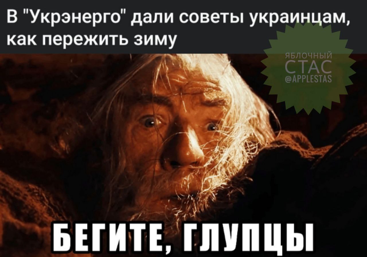 Убегай от тоски и с глупцами. Властелин колец бегите глупцы. Гэндальф бегите глупцы. Бегите Безумцы Гэндальф. Пеките блинцы глупцы Гендальф.