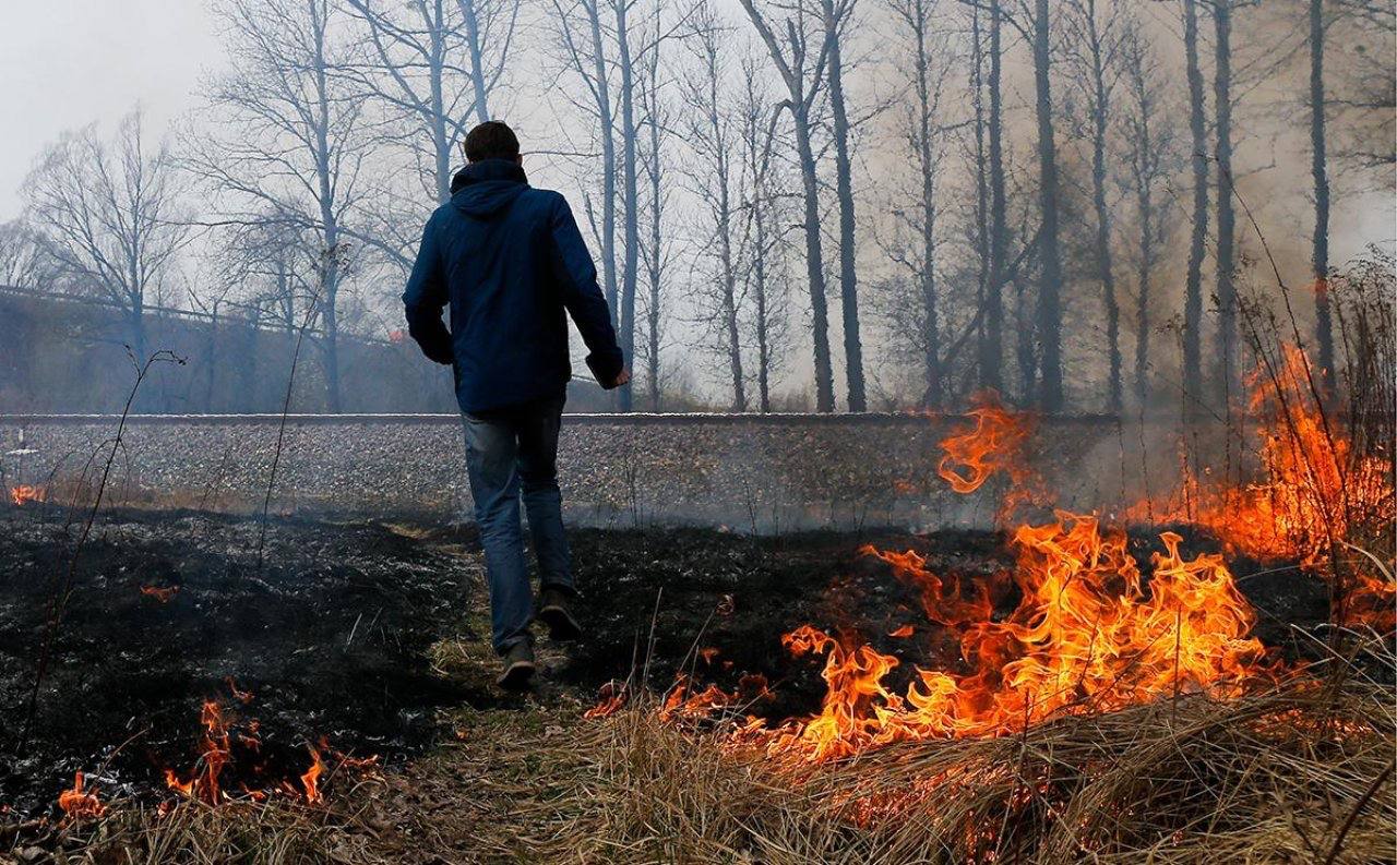 Став лесной пожар. Человек поджигает лес. Пожар в лесу. Виновник лесного пожара. Поджигатель леса.