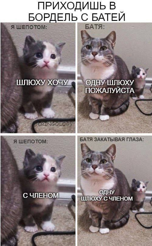 Мем Твои Шлюхи
