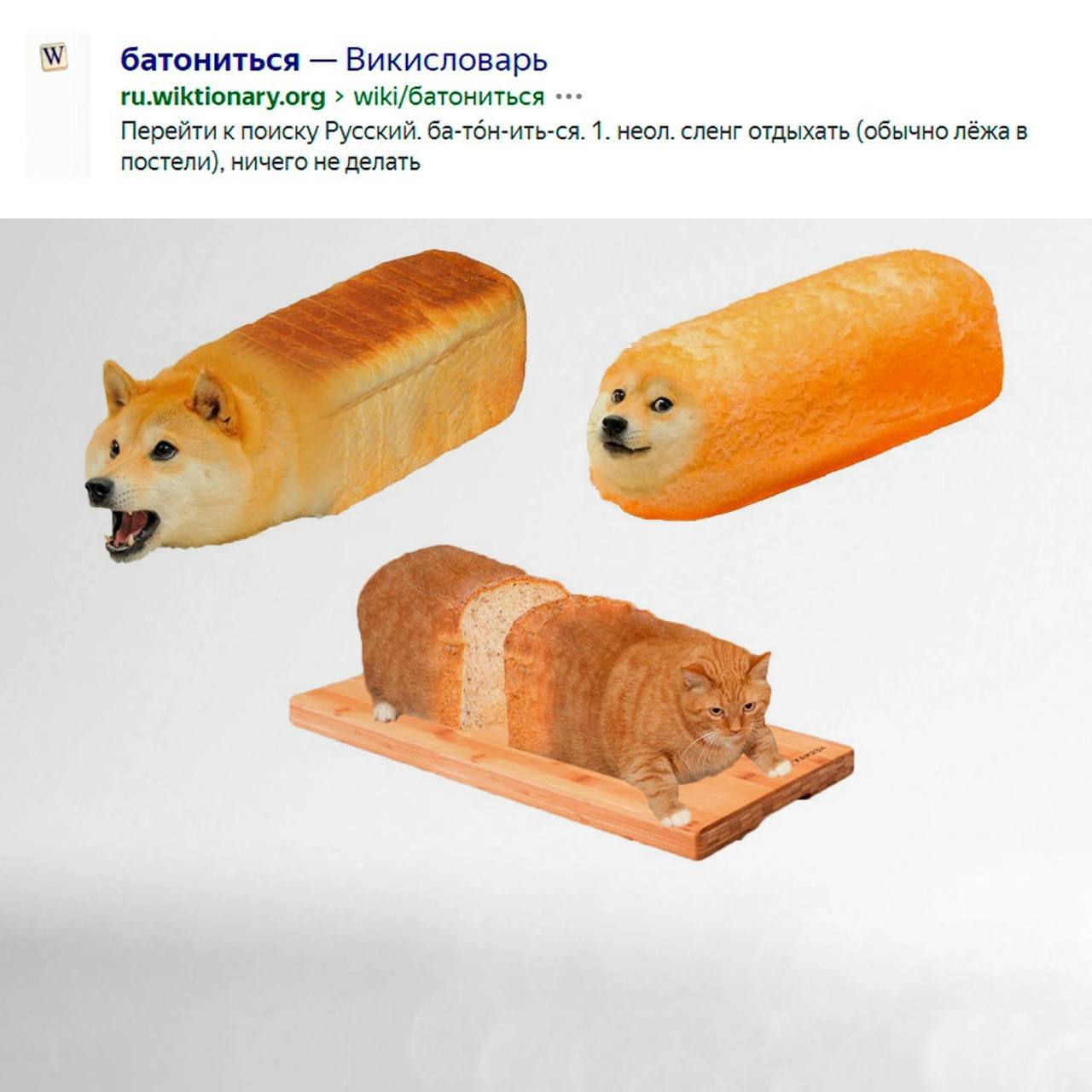 Батониться. Лежит батониться. Батониться. Коты батонятся. Батониться мем.