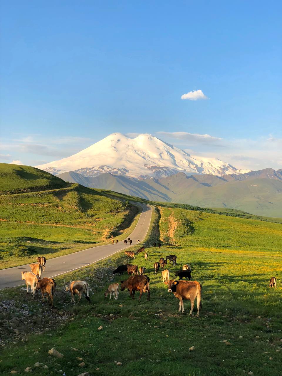 Джилы Су Кабардино Балкария Альпийские Луга