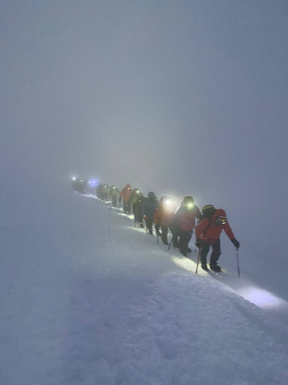 Соловьев телеграмм канал фото 107