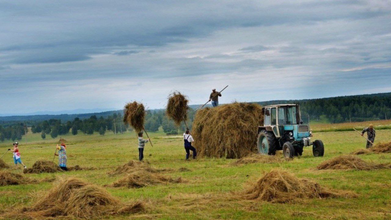 Хозяйство в деревне