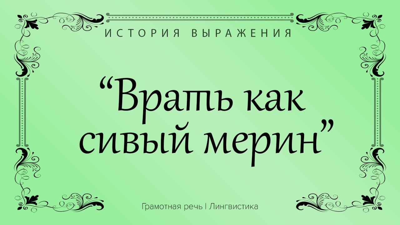 Фразеологизм врать как сивый. Фразеологизм врать как сивый