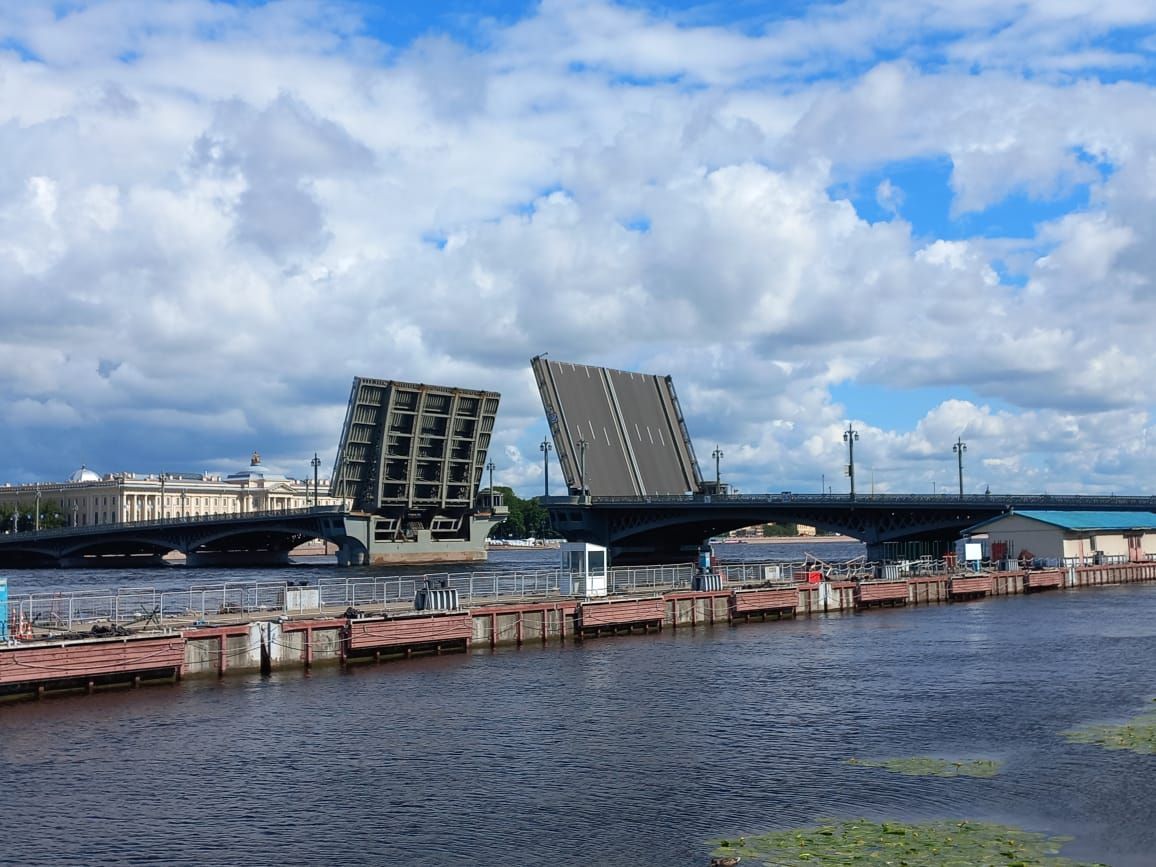 Рубцовско Дворцовый мост