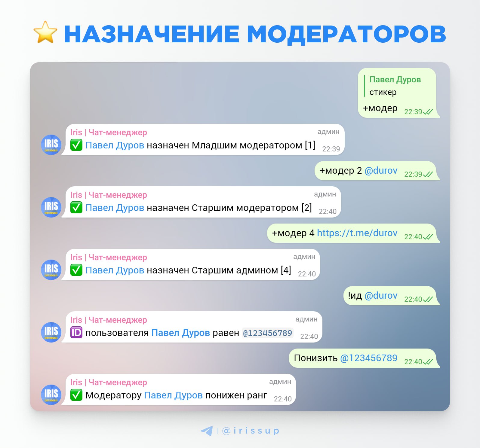 Что делает модератор чатов. Ранги модераций примеры.