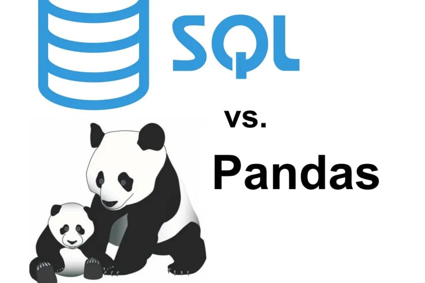 Библиотека pandas методы. Query Пандас. Pandas Series. Панда в ai. Интернет маркетинг Панда.