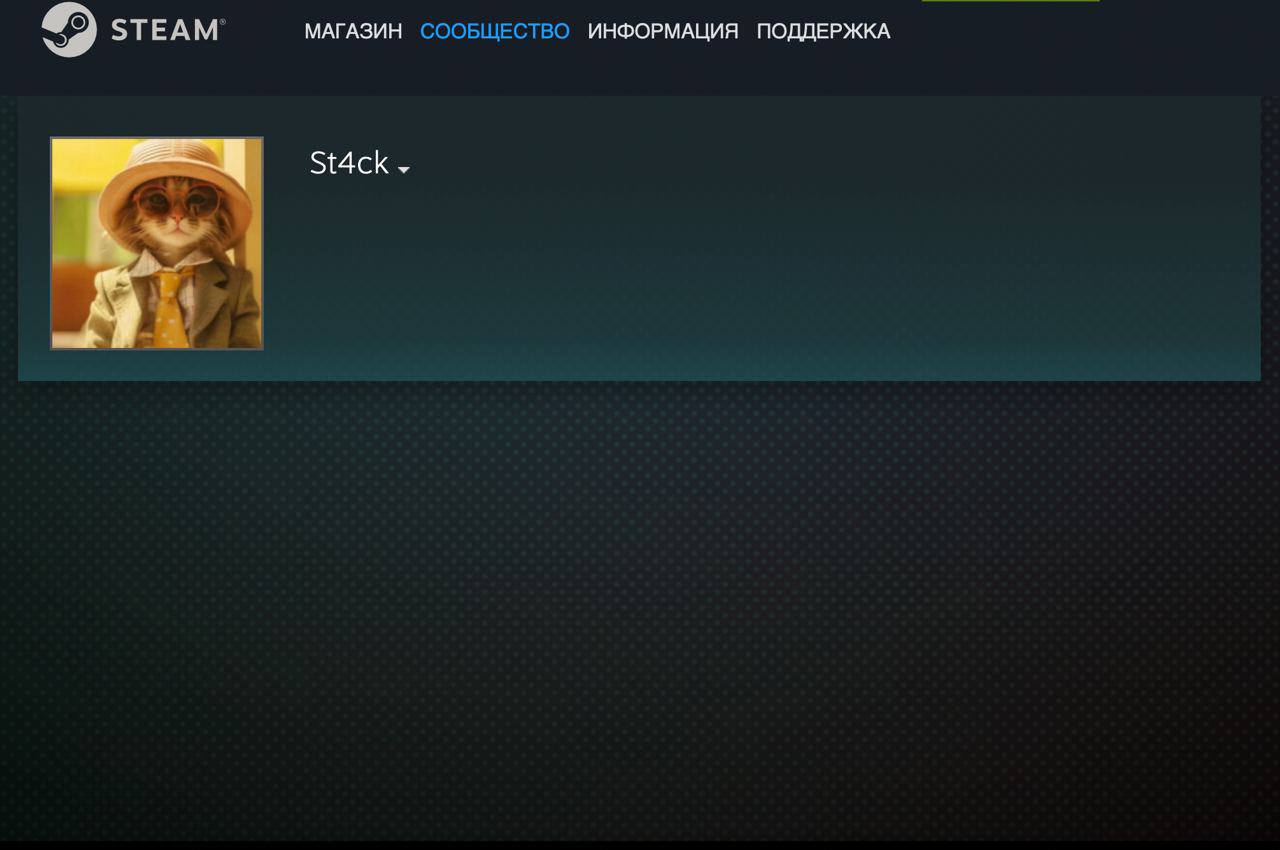 Steam заблокировали в казахстане фото 4