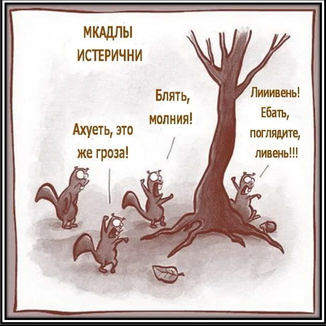 Белки истерички